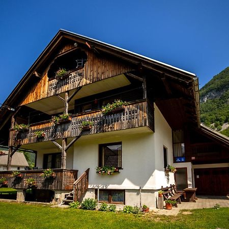Apartment And Room Mateja Kovacic بوينج المظهر الخارجي الصورة